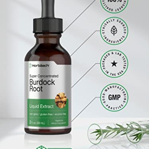 Burdock Root Tincture | 2 fl oz | Alcohol Free | Vegetarian, Non-...