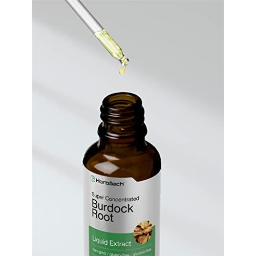 Burdock Root Tincture | 2 fl oz | Alcohol Free | Vegetarian, Non-...