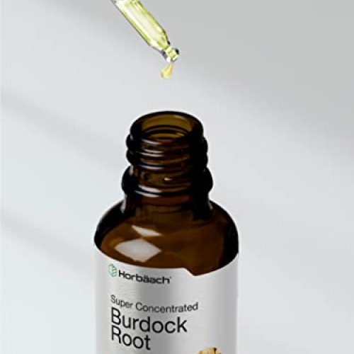 Burdock Root Tincture | 2 fl oz | Alcohol Free | Vegetarian, Non-...