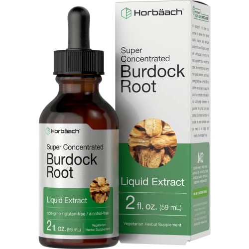 Burdock Root Tincture | 2 fl oz | Alcohol Free | Vegetarian, Non-...