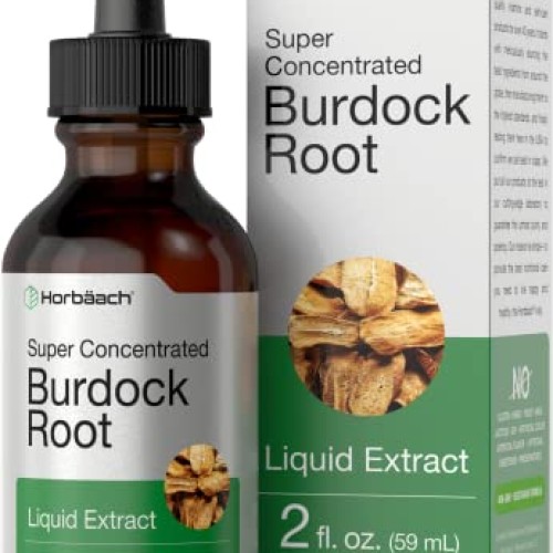 Burdock Root Tincture | 2 fl oz | Alcohol Free | Vegetarian, Non-...