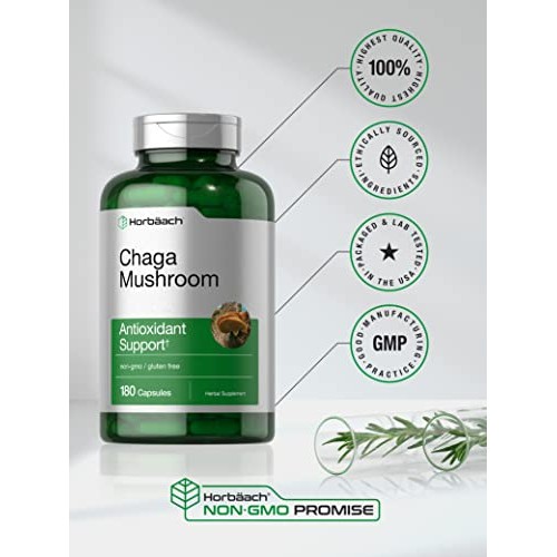 Chaga Mushroom Capsules | 180 Count | Non-GMO & Gluten Free Suppl...