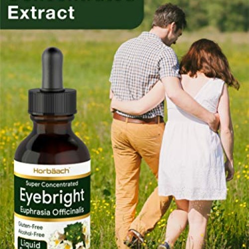 Eyebright Herb Tincture | 2 fl oz | Alcohol Free | Super Concentr...