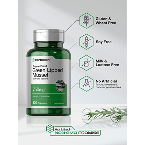 Green Lipped Mussel | 750 mg | 120 Capsules | from New Zealand | ...