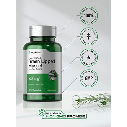Green Lipped Mussel | 750 mg | 120 Capsules | from New Zealand | ...