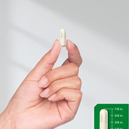 Green Lipped Mussel | 750 mg | 120 Capsules | from New Zealand | ...