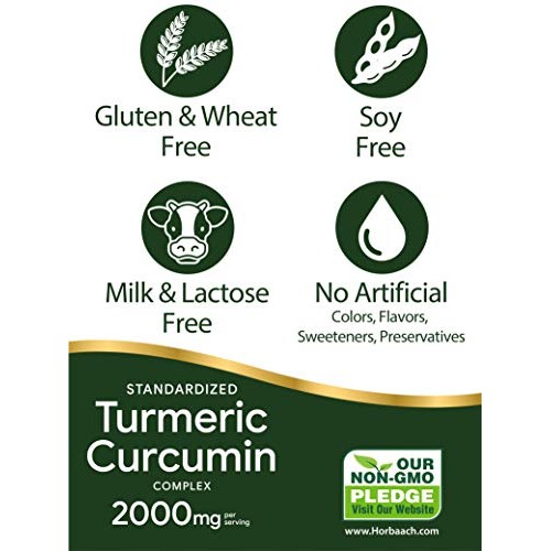 Turmeric Curcumin with Bioperine | 2000 mg 90 Capsules | Non-GMO,...