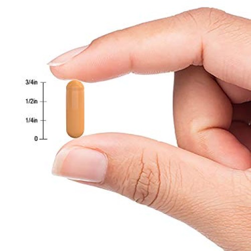 Turmeric Curcumin with Bioperine | 2000 mg 90 Capsules | Non-GMO,...