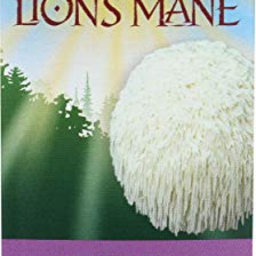 Host Defense, Lions Mane Vegetable Capsules, 60 Count