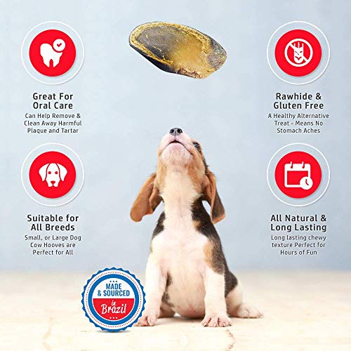 Full-Size Cow Hooves for Dogs | All-Natural Long Lasting Dog Chew...