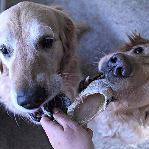 Full-Size Cow Hooves for Dogs | All-Natural Long Lasting Dog Chew...