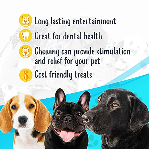 hotspot pets Beef Tendon Chews for Dogs - 8 Inch All Natural, Fre...