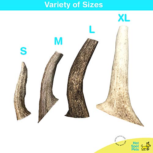 hotspot pets Premium Elk Antlers for Dogs, Naturally Shed Elk Ant...