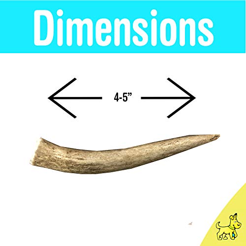 hotspot pets Premium Elk Antlers for Dogs, Naturally Shed Elk Ant...