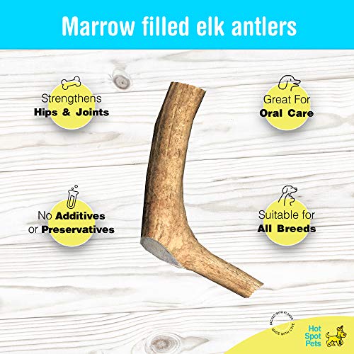 hotspot pets Premium Elk Antlers for Dogs, Naturally Shed Elk Ant...