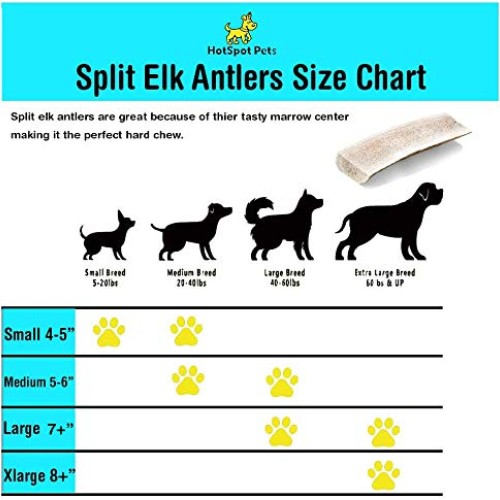 hotspot pets Premium Elk Antlers for Dogs, Naturally Shed Elk Ant...