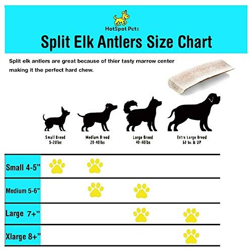 hotspot pets Premium Elk Antlers for Dogs, Naturally Shed Elk Ant...