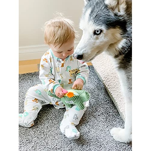 HugSmart Pet - Dinosaur Land | Squeaky Plush Dog Toys for Small M...