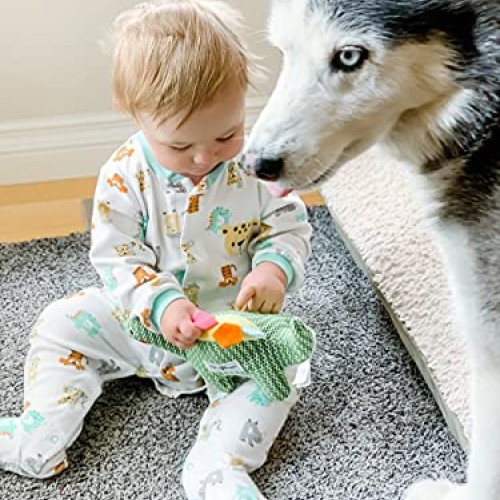HugSmart Pet - Dinosaur Land | Squeaky Plush Dog Toys for Small M...