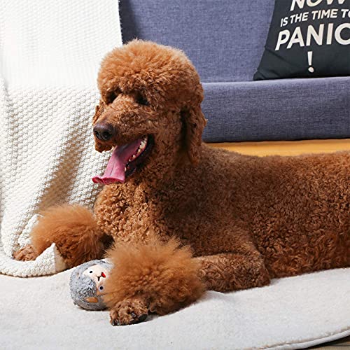 HugSmart Pet - Zoo Ball | 2-in-1 Plush and Squeaky Tennis Ball fo...