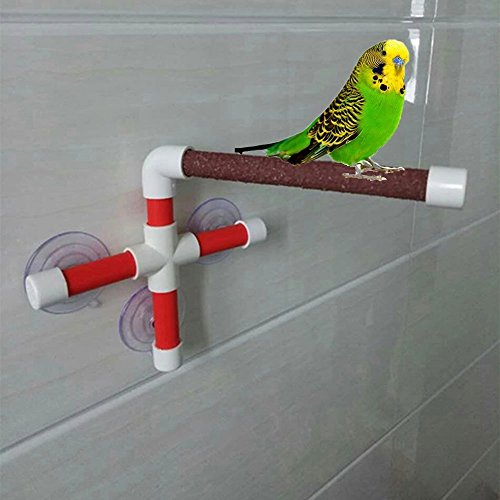 Hypeety Portable Suction Cup Bird Window and Shower Perch Toy for...