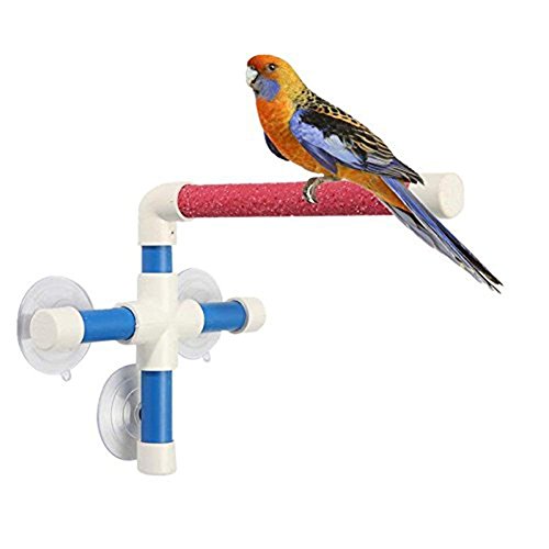 Hypeety Portable Suction Cup Bird Window and Shower Perch Toy for...