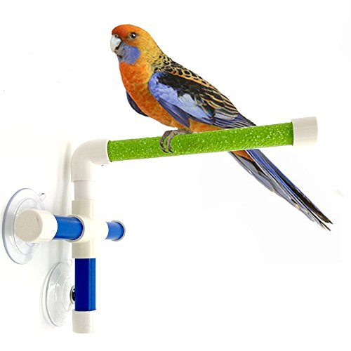Hypeety Portable Suction Cup Bird Window and Shower Perch Toy for...