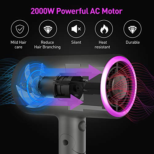 Ionic Hair Dryer, ICETEK 2000W Diffuser Hair Dryer Professional S...