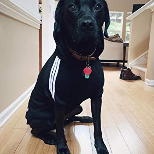 Idepet Cotton Adidog Large Dog Clothes Hoody, 4XL, Black