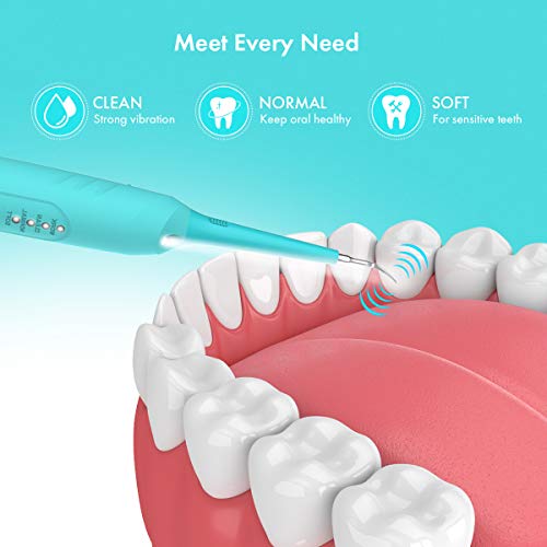 Teeth Calculus Remover, Dental Tools, Electric Tartar Scraper Pla...