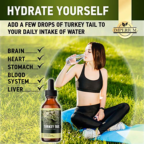 Turkey Tail Mushroom Supplements - Comprehensive Immune System Su...