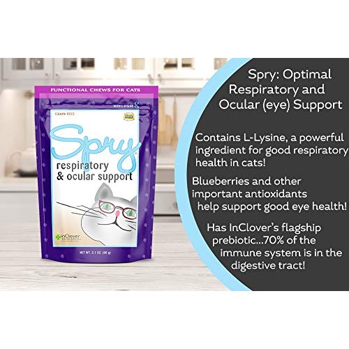 In Clover Spry Daily Respiratory and Ocular Support Soft Chews fo...