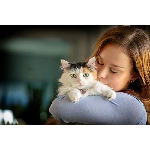 In Clover Spry Daily Respiratory and Ocular Support Soft Chews fo...