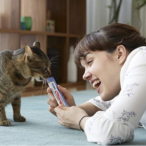 INABA Churu Lickable Purée Wet Treat for Cats | Playful Hand Feed...
