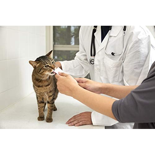 INABA Churu Pops Moist and Chewy Cat Treat Tuna Recipe 4 Tubes