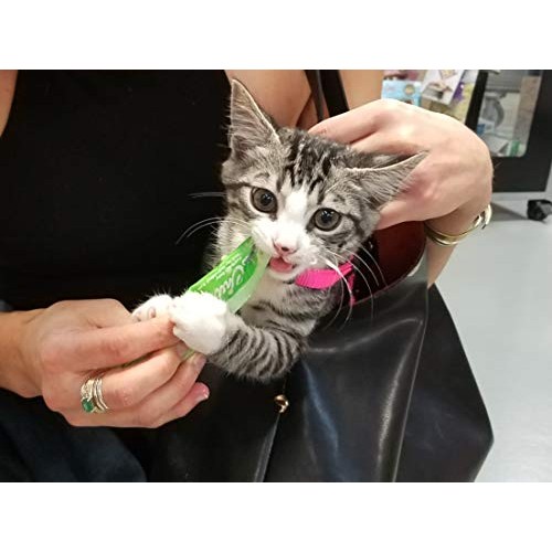 INABA Churu Tuna with Scallop Recipe Lickable Purée Natural Cat T...
