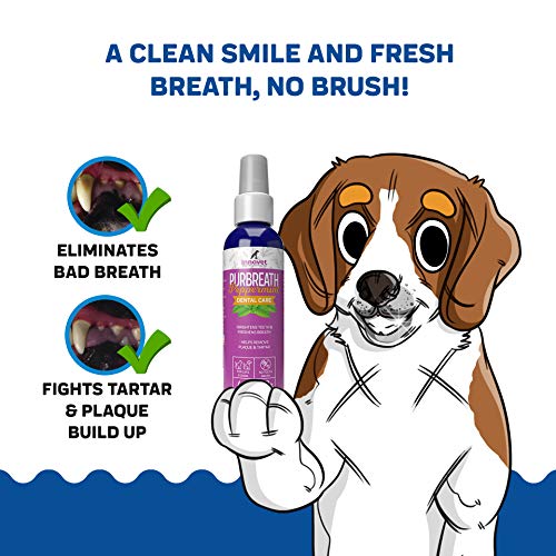 Innovet Pet Products PurBreath Oral Care Gel for Dog & Cats – 120...