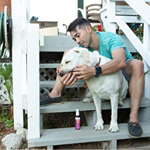 Innovet Pet Products PurBreath Oral Care Gel for Dog & Cats – 120...