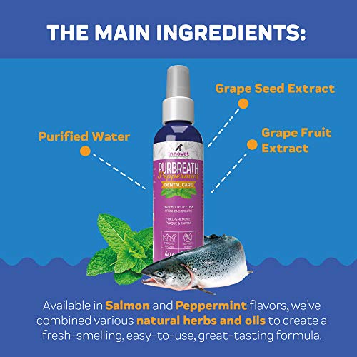 Innovet Pet Products PurBreath Oral Care Gel for Dog & Cats – 120...