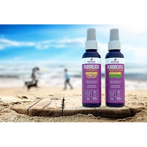 Innovet Pet Products PurBreath Oral Care Gel for Dog & Cats – 120...
