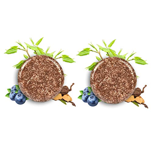 2 Pack Hair Darkening Shampoo Bar, All-Natural Ingredients Sham...