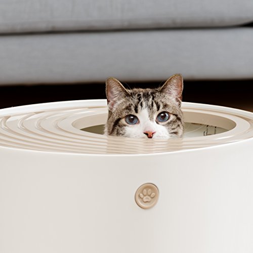 IRIS USA, Inc. IRIS USA Top Entry Cat Litter Box with Cat Litter ...