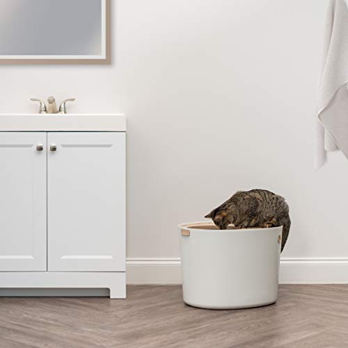 IRIS USA, Inc. IRIS USA Top Entry Cat Litter Box with Cat Litter ...