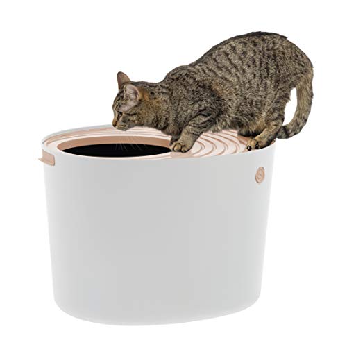 IRIS USA, Inc. IRIS USA Top Entry Cat Litter Box with Cat Litter ...