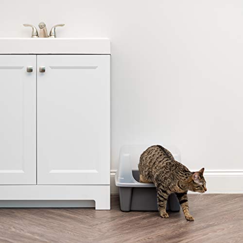 IRIS USA Open Top Cat Litter Box Kit with Shield and Scoop, Gray,...
