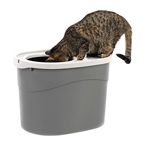 IRIS USA Top Entry Cat Litter Box, Gray/White 589624, 20.50l x 1...