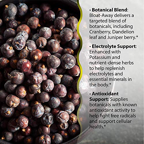 Irwin Naturals Bloat-Away - Water Balance Support - Replenish Ele...