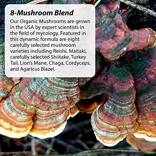 Irwin Naturals Pure Defense Mushroom-8 Powerful & Robust Immune S...