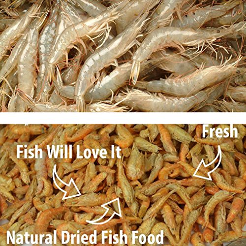 Jacksupermall 1200ml Turtle Food Freeze Dried Krill Aquarium Pond...