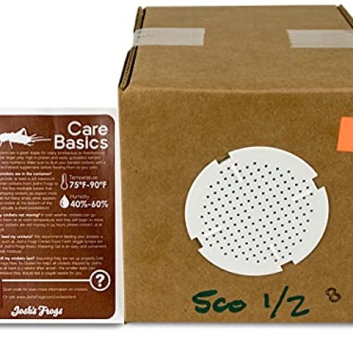 Joshs Frogs 1/2 Banded Crickets 500 Count